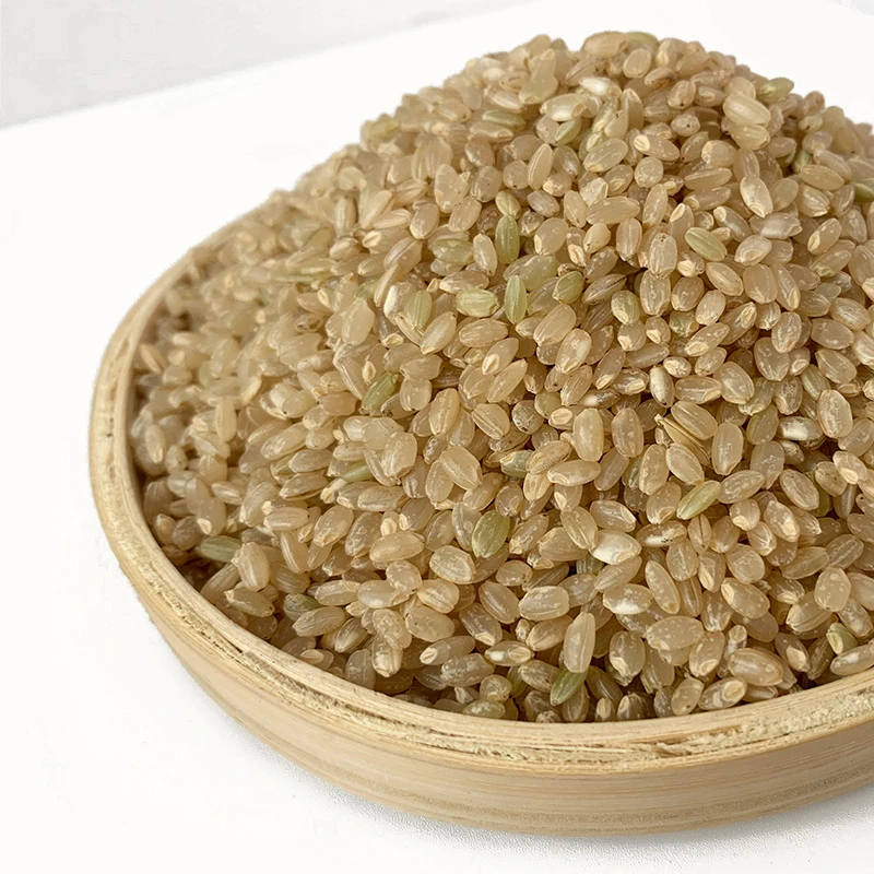 Origin China factory Export top grade low price  Unpolished Rice Brown Rice