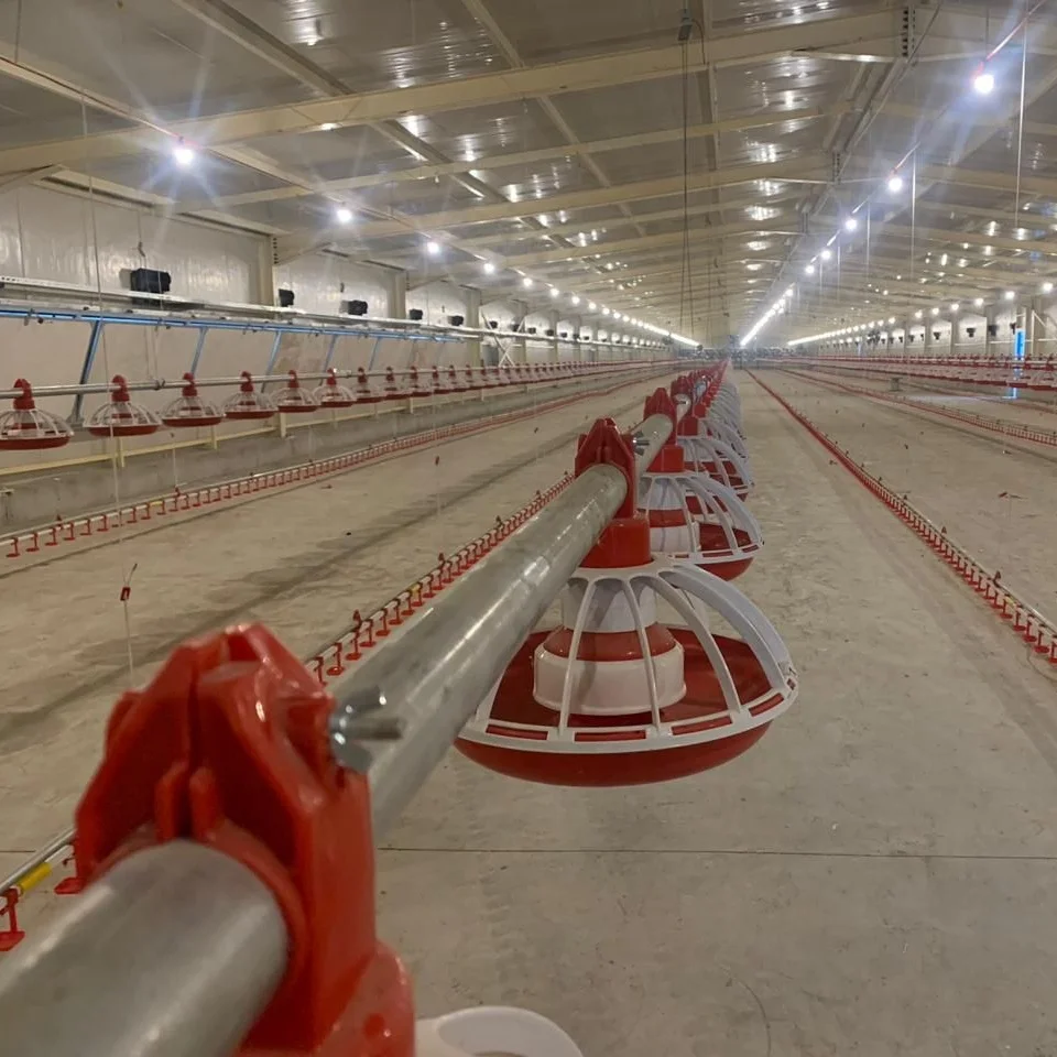 Automatic Poultry Farming equipment Chicken Feeding pan 14 grid Feeder Line System for Floor Raising System