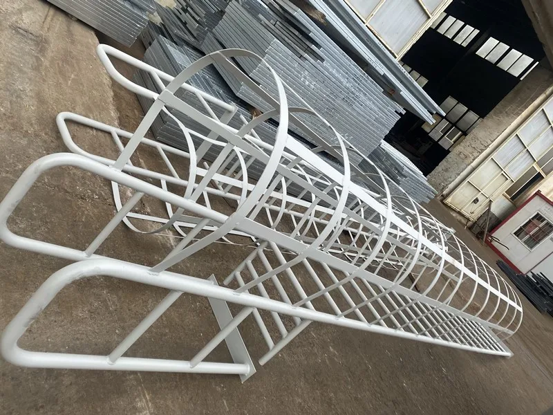 Customized Galvanized Steel Fixed Ladder with Safety Cage Vertical Galvanised Cat