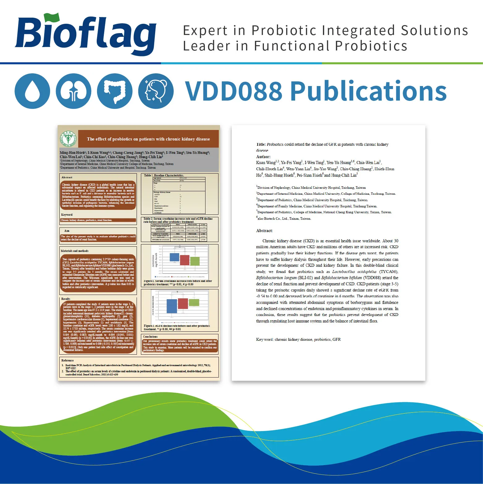
probiotics powder for glycemic control gut health Bifidobacterium bifidum VDD088 kidney protection 