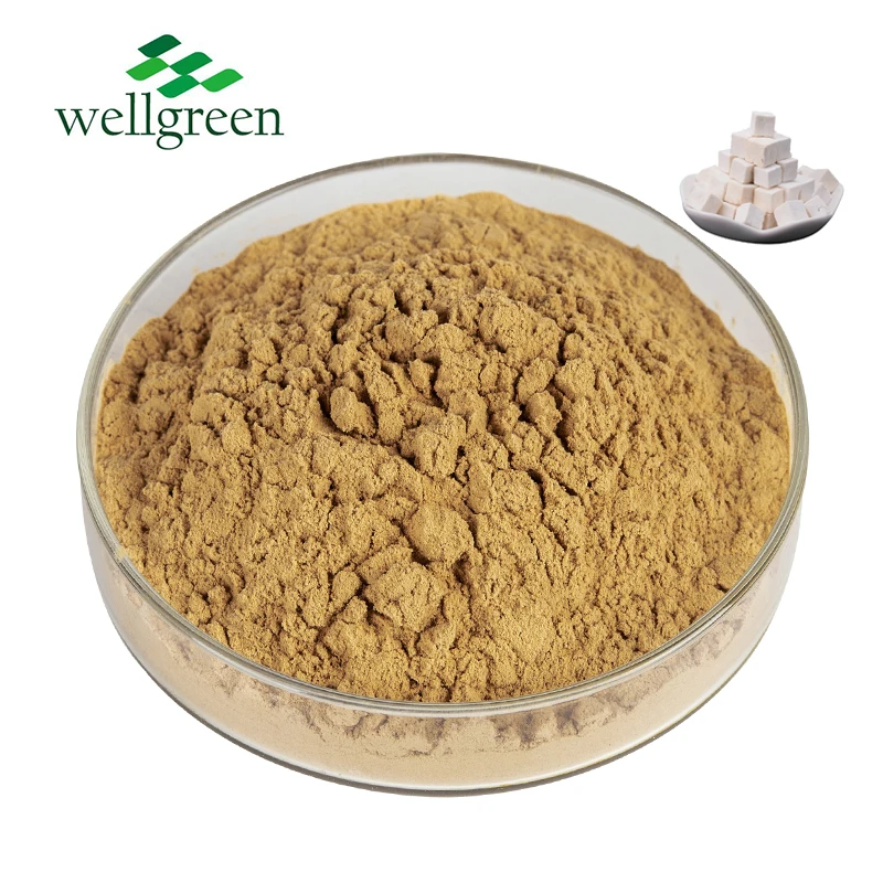 Натуральные травы Wellgreen чистый экстракт пории кокоса 50% полисахариды бесплатный образец