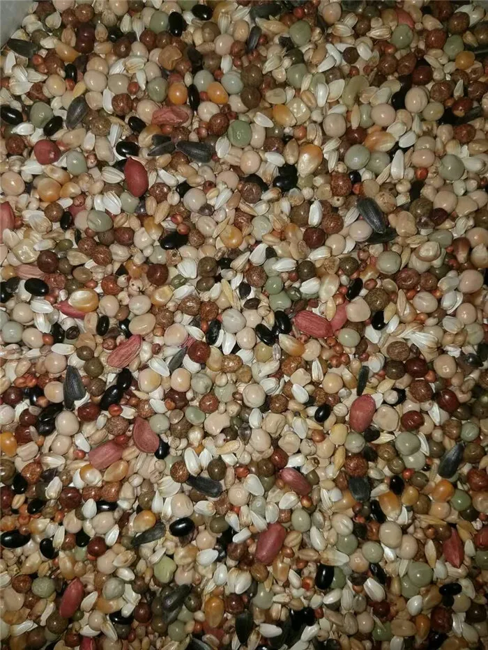 Pigeon food polishing and mixing machine