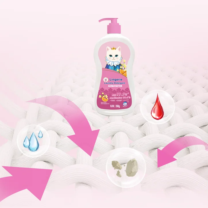 Safe Formula 99.9% Bacteria & Mites Removal Bio-enzymes Amino Acid Cleaning Underwear Detergent Laundry