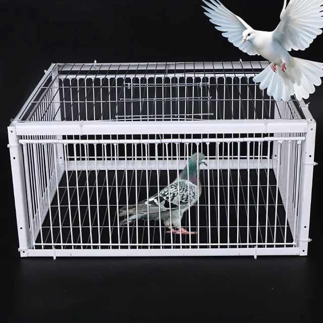 Pigeon Trap Pigeon Cage with One Way Entrance 4 Door Bird Cage with Upper Door
