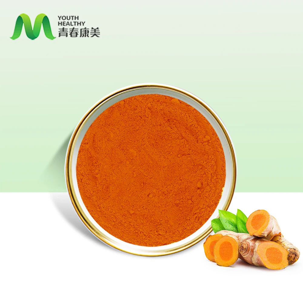 Manufacturer Supply Organic Curcumin Bulk