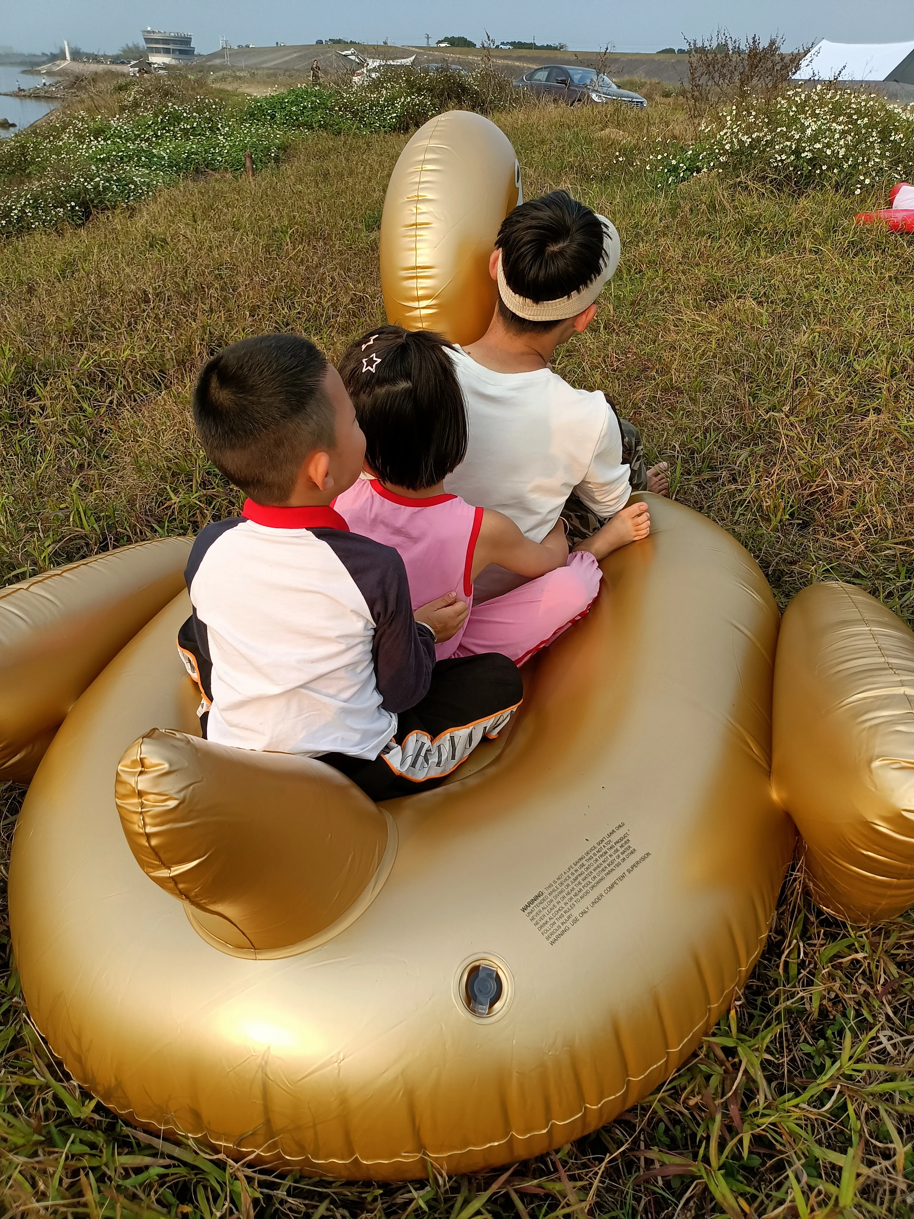 Factory hot selling Inflatable Golden Swan High quality inflatable water toys in stock