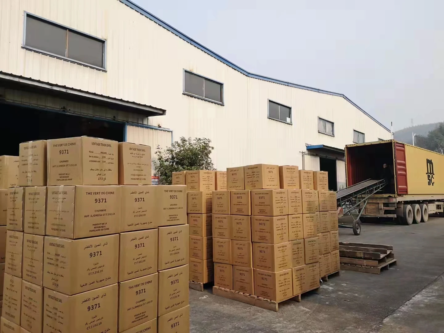 Guandong Ya Shi Xiang Phoenix Dan Cong Oolong Tea for bubble tea shop Fenghuang Dancong Oolong tea