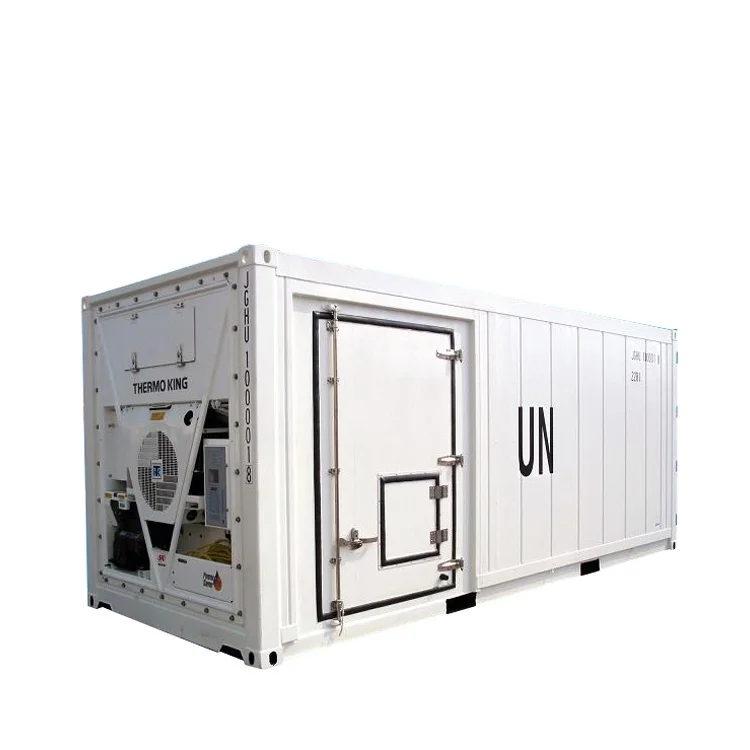 China Cheap Customized Open Side Refrigerated Container Frozen Shipping Container