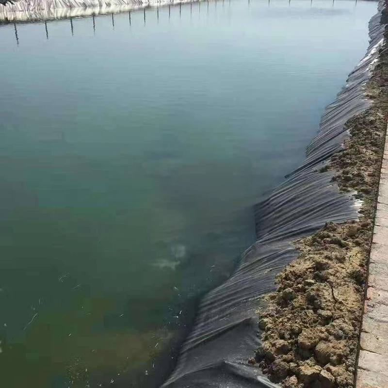 Top Quality OEM Factory Low Price Promotional Geomembrane Per Meter square