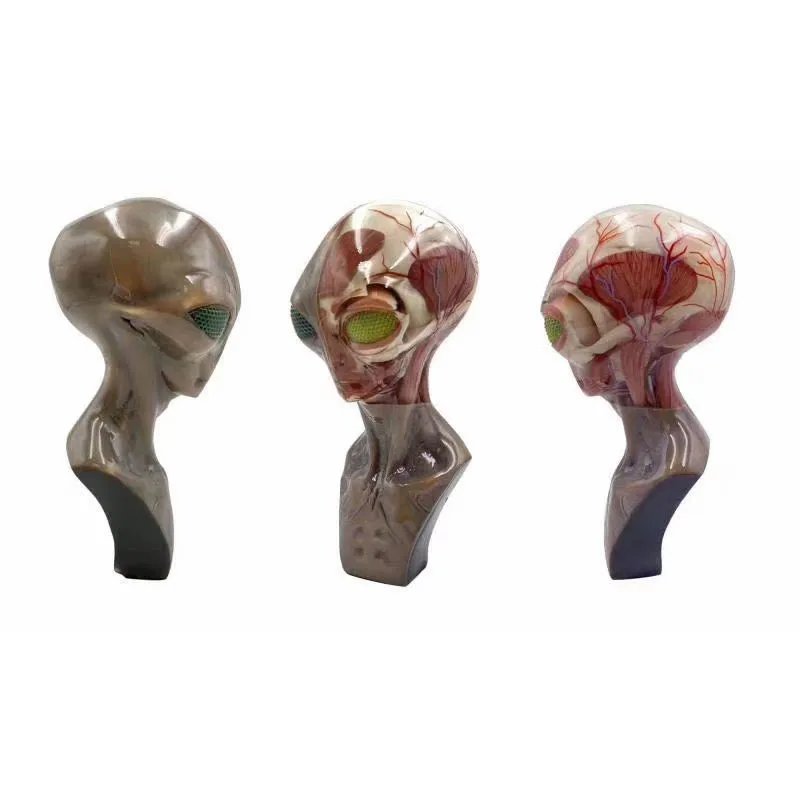 
High Precision Rapid Prototype Industrial customized OEM SLA full color 3D Printing Service 