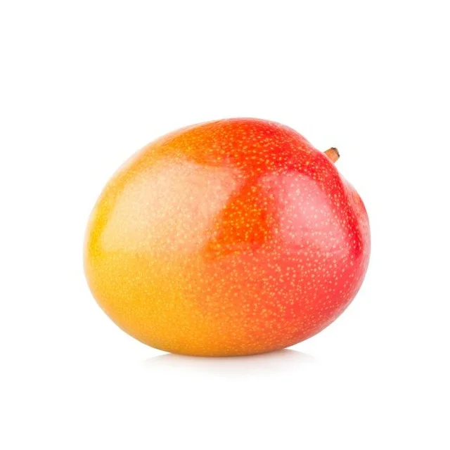 100% Fresh Badami Mango For Best Price