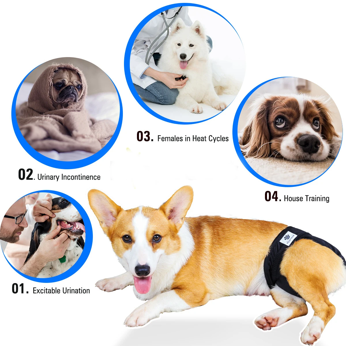 Evening Reusable Dog Diapers, Highly Absorbent, Washable and Eco-friendly Sanitary Napkin Panties