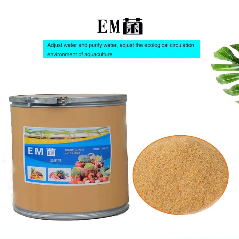 Agricultural EM Bacteria effective microorganisms for strengthening seedlings, sewage treatment