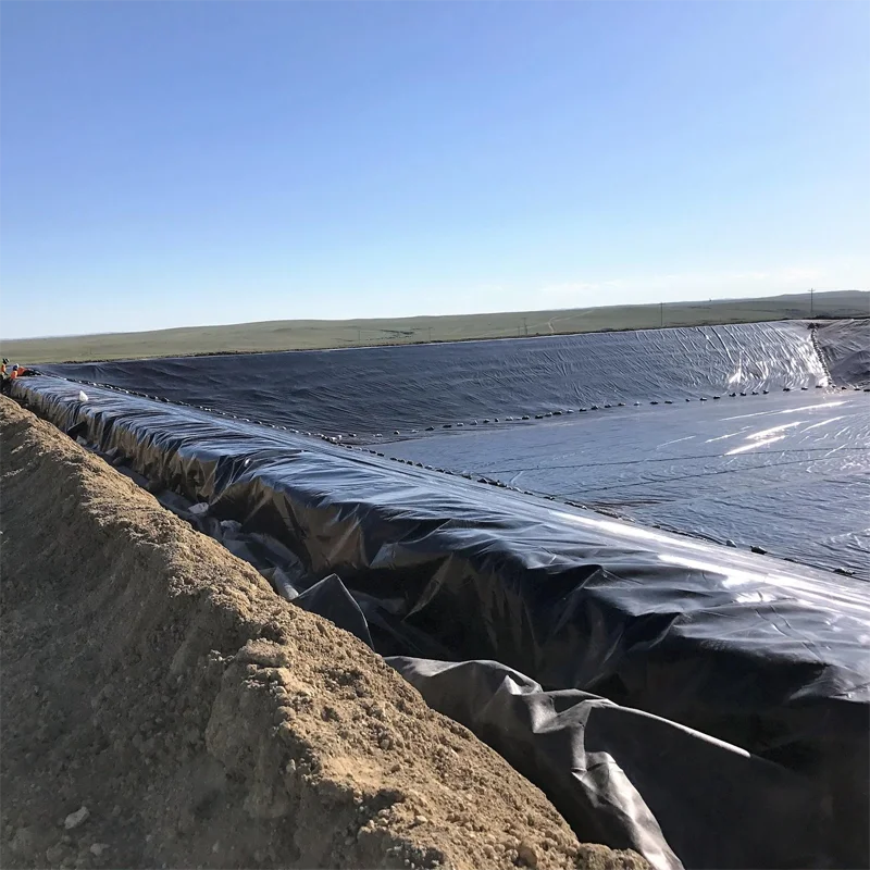 HDPE лист гидроизоляционная Шахта бассейн biofloc аквариум непроницаемая геомембрана креветки пруд