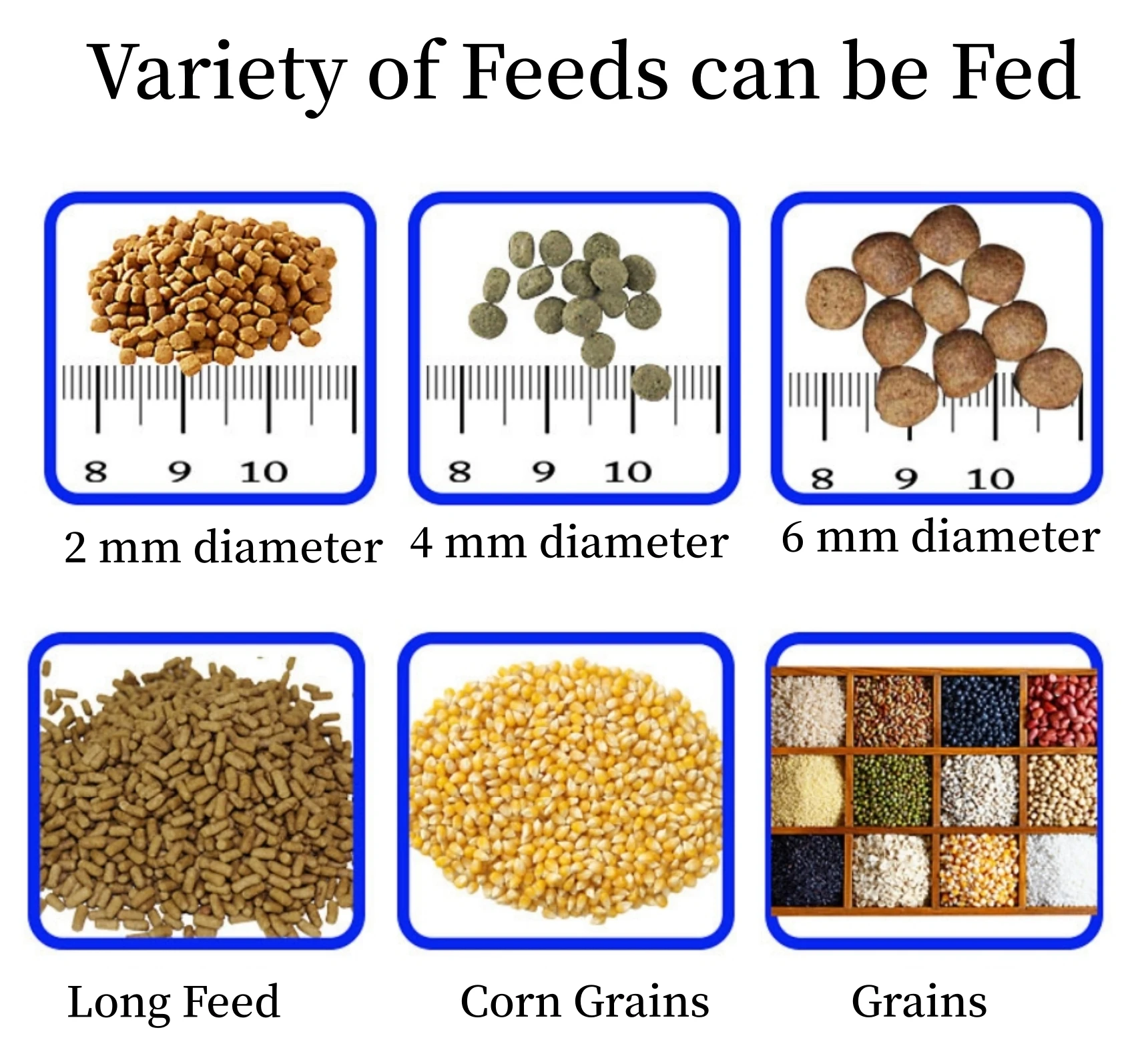 Best Quality Automatic Fish Feeder Aquaculture Big Capacity Food Feeding Machine Feeding Machine for Fish Farming