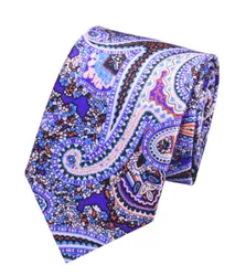 YiLi Premium Men Paisley Printing Polyester Neckties