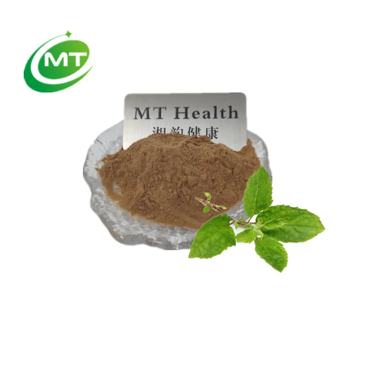 Kosher Organic Ocimum Sanctum Holy Basil Herb Extract Tulasi Tulsi Holy Basil Extract