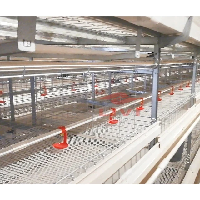 
Низкая цена, оптовая продажа, оборудование для бройлеров, птицеводства 
