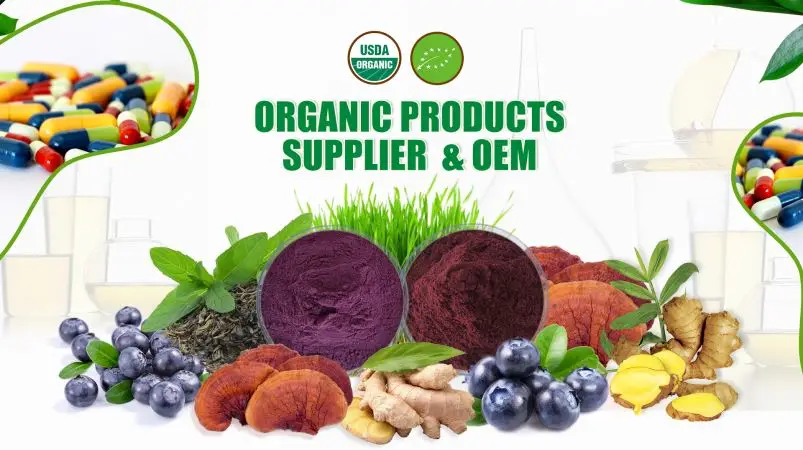 Competitive Price Shiitake Mushroom Extract - Polysaccharides10%-50%