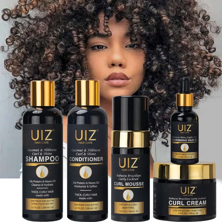 Curly hair shampoo and conditioner set Scalp Care Sulfate Free Hair Care Set For Black Women