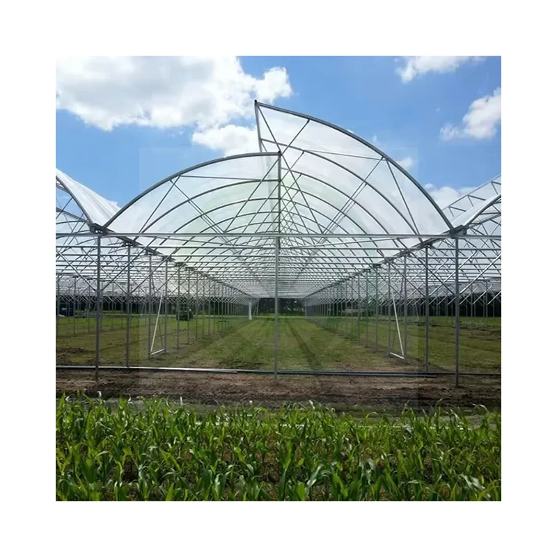 Jiapei Chinese factory Hot Sale And Good Quality Multi-span Greenhouse Sawtooth Greenhouse Supplier for blueberry greenhouse