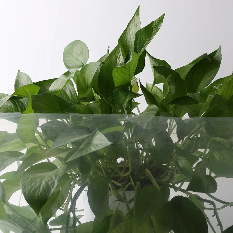 Низкая цена Анти-УФ тепличная Пластиковая Зеленая полиэтиленовая пленка для овощей фруктов цветов