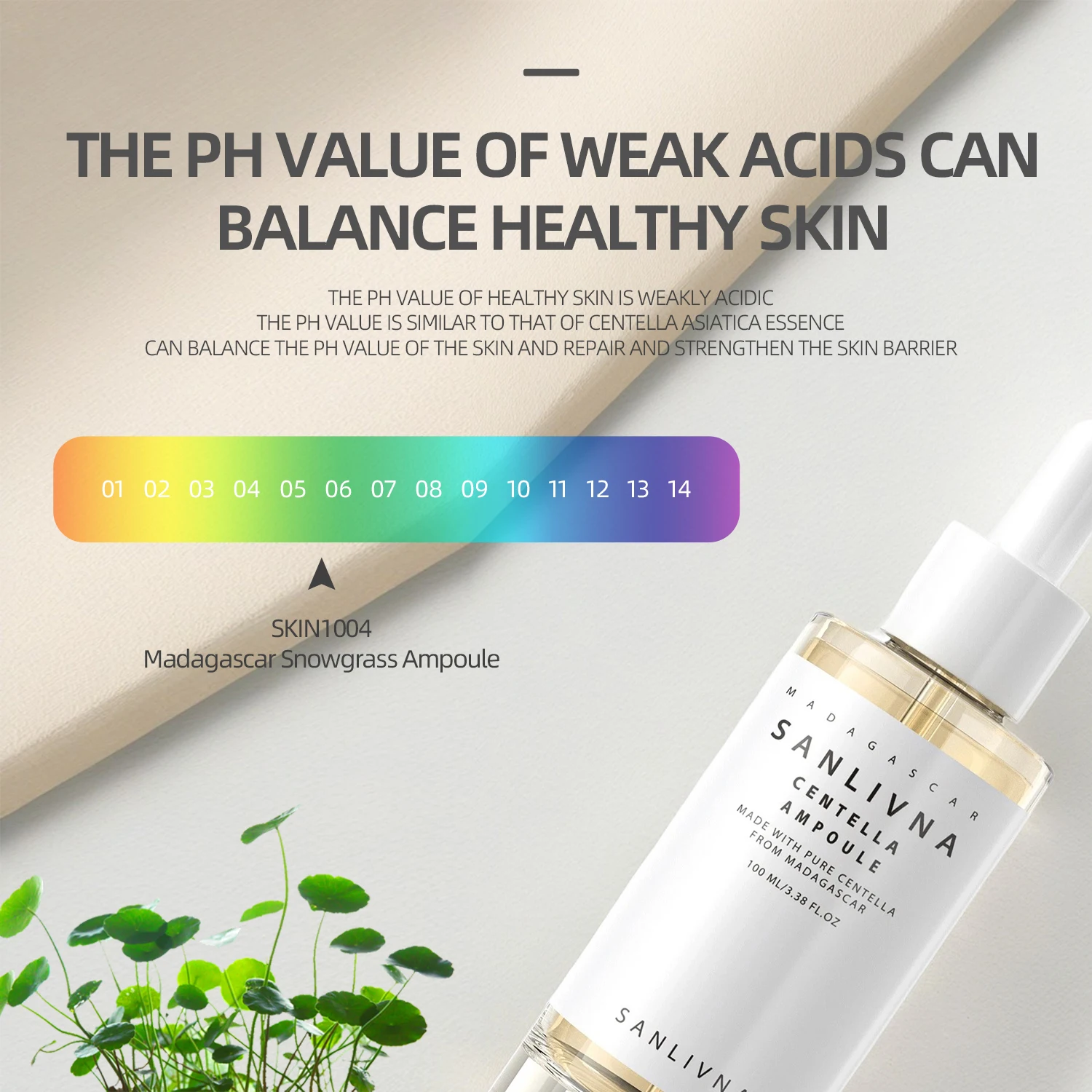 Centella Asiatica Skin Care Asiatica Extract Moisturising Calming and Hydrating and Soothing Acne Repair Care Brightening