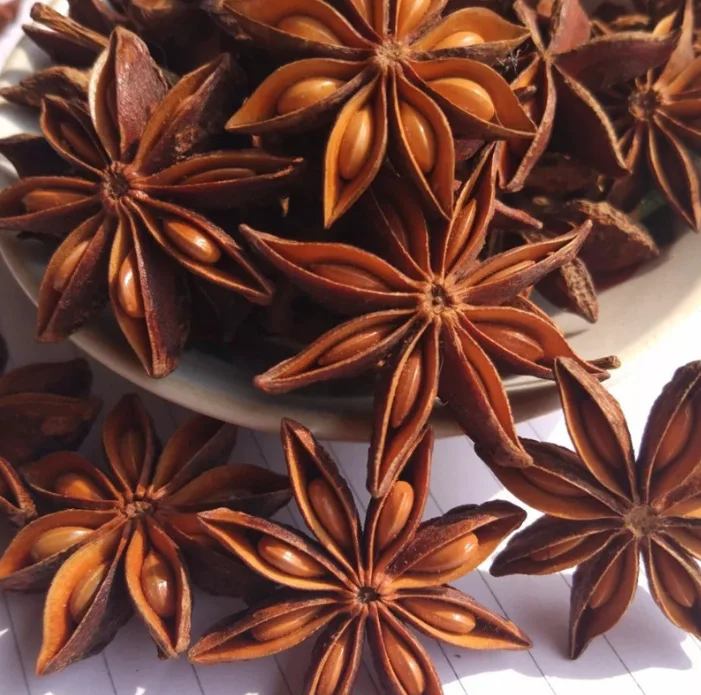 Hot Sale Whole Star Anise Guangxi red star anise Chakri Phool Seeds