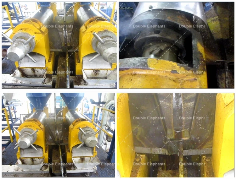 5-50TD Complete sunflower groundnut soybean vegetable oil production processing press machine plant