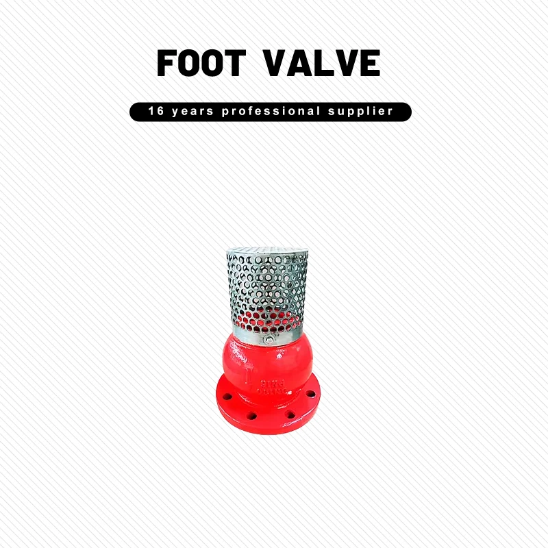 Wholesale High Quality Industrial 2 1/2 Inch Ductile Iron Flanged Foot Valve With Filter