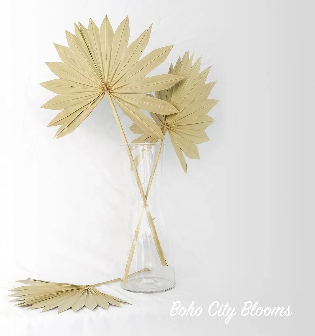Pampas Dries Dry Leaf Dried Palm Spears Boho Decor Natural Flowers Plastic Bag New Year Gift Flower Wall Wedding Backdrop 10 Pcs