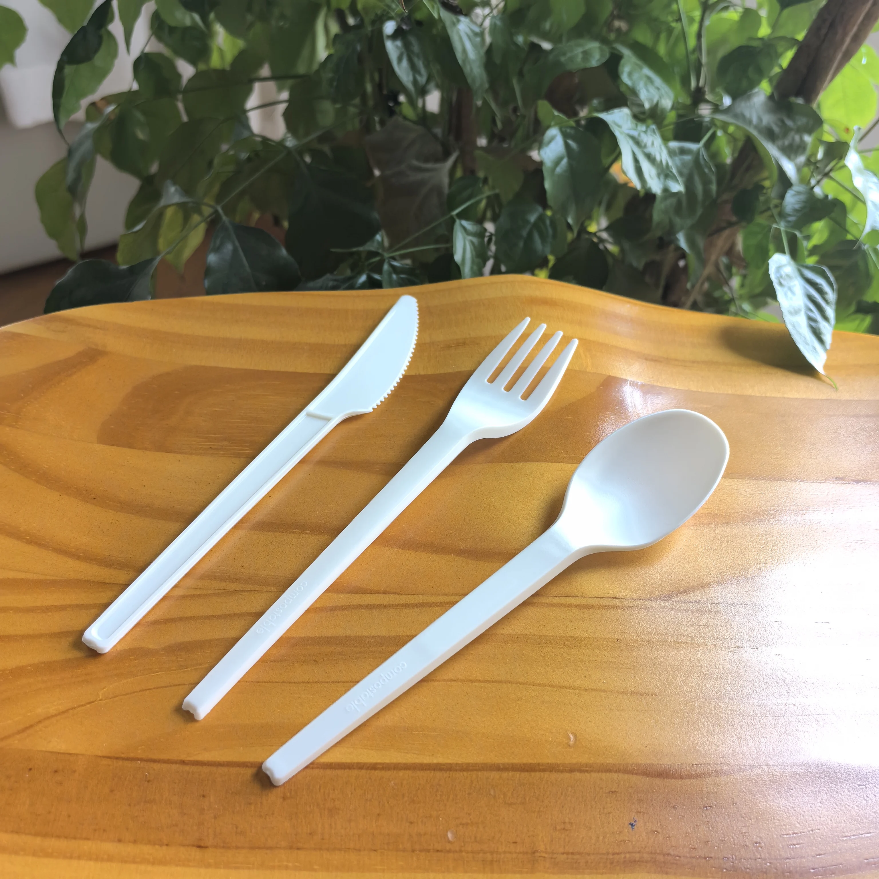 Biodegradable CPLA Cutlery Set Flatware Plastic Disposable picnic compostable eco Spoon Fork Knife