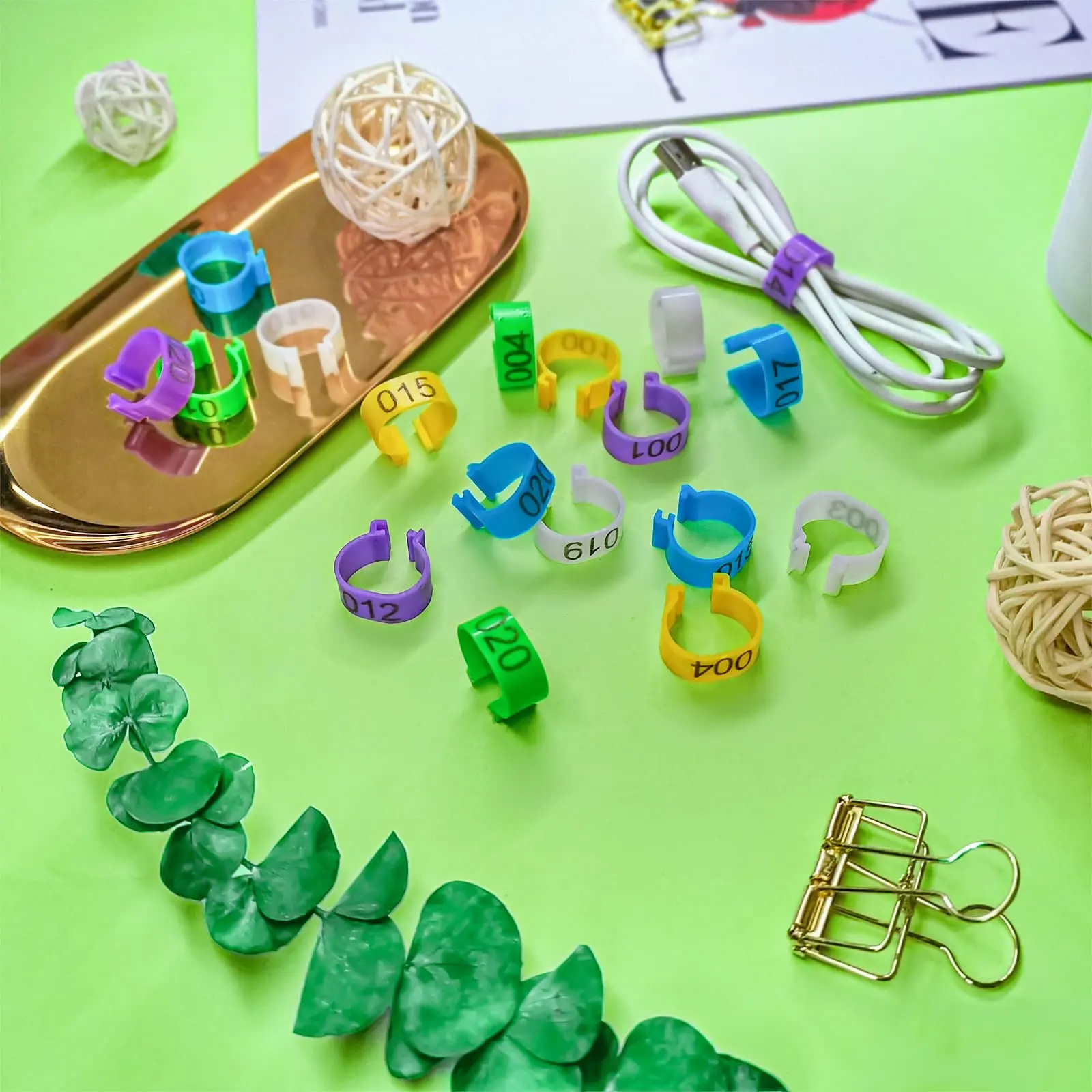 Chicken Leg Rings 5 Colors Numbered 8mm, 16mm, 18mm, 20mm, 25mm Plastic Chicken Foot Ring