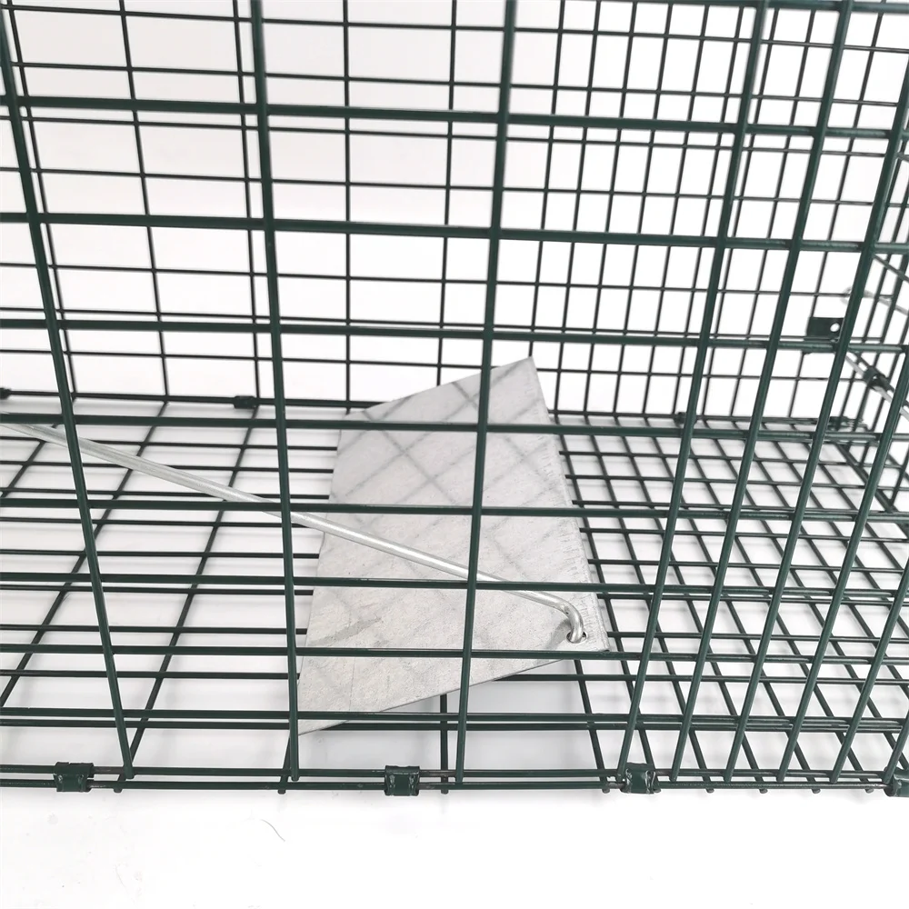 Popular Hog Pig Trap extra Large fox Trap Green Galvanizing Boar Hunting Traps