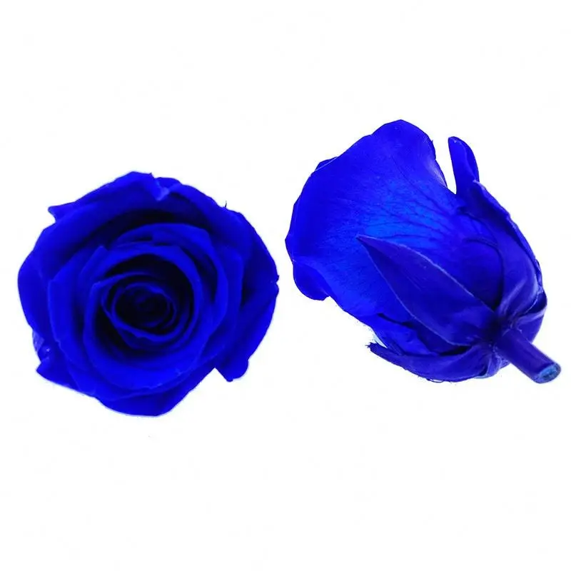 Wholesale high quality preserved eternal flower 5-6cm rose head