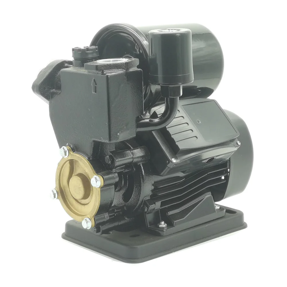 RUIQI 0.5HP  Malaysia  / Iraq Hot Saling Automatic Self Priming Pumps RD200  Booster Water Pump  Bomba De Agua