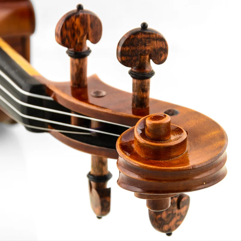 CHRISTINA Violin V10  Famous Brand Major prices Free case string bow