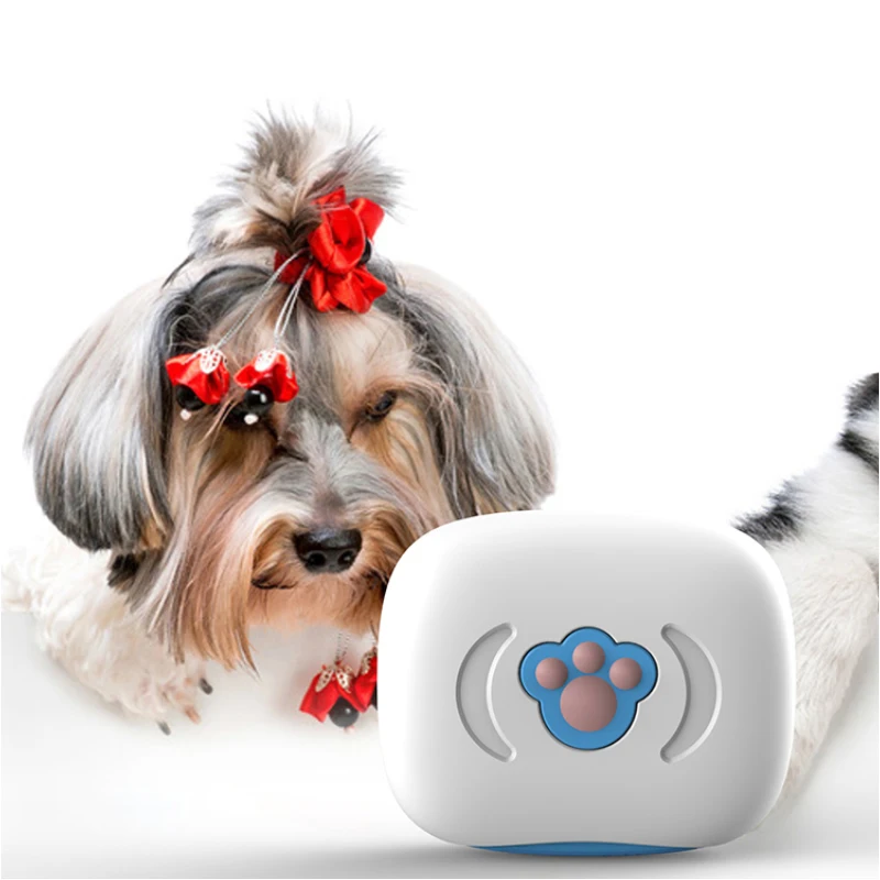 Pet Gps Tracker Without Sim Card Dog Gps Tracker 4G Gps Tracker For Pets