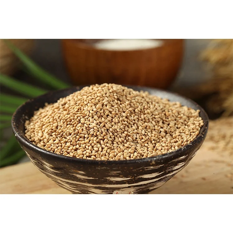 High Quality Protein Mellow Taste Cooked Sesame High Nutrition And Easy To Carry