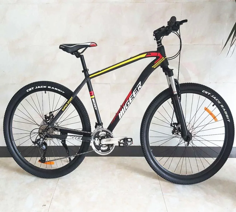 Aluminum Alloy Fork Material and 20 KGS Net Weight 29 MTB