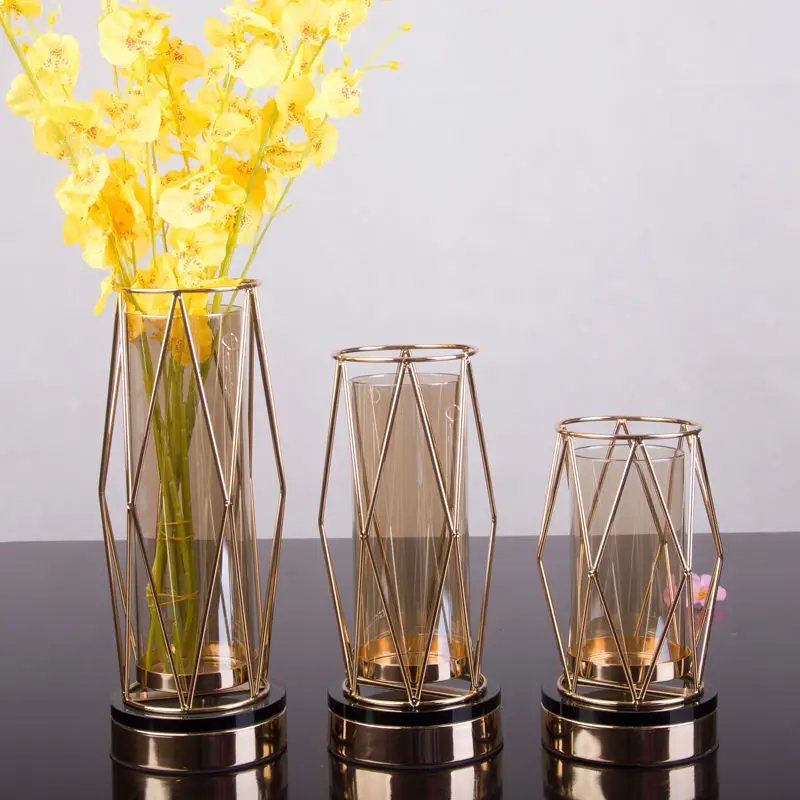 Роскошные золотые круглые металлические пустотелые вазы для домашнего декора, стеклянный держатель, тестовая трубка, гидропонная железная ваза