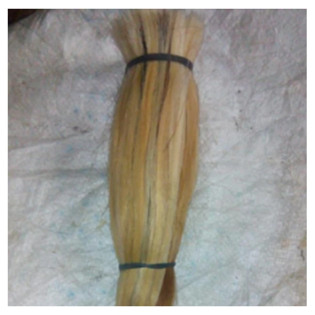 High quality black natural clean washed cow cattle hair tails
