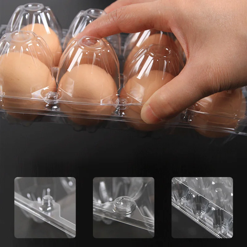 Reusable Clear Plastic Egg Tray Carton holds Packaging for Chicken Farm