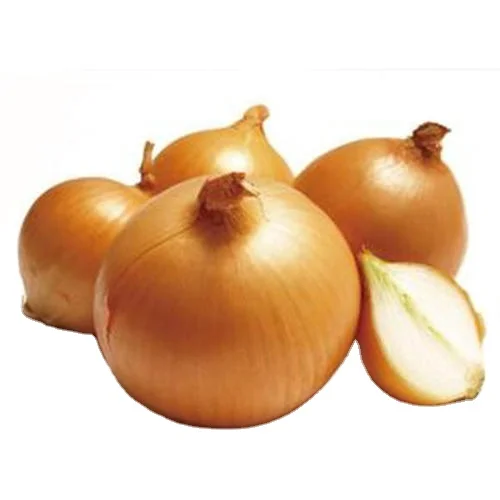 
Onion Vegetables New Quality Fresh Yellow Crop Style GLOBAL GAP Weight Origin Type Shape Size Product Place Model HACCP Round 