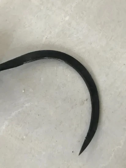 Africa Market 7.5 Inch Wood Hand Farming Glass Garden Sickle