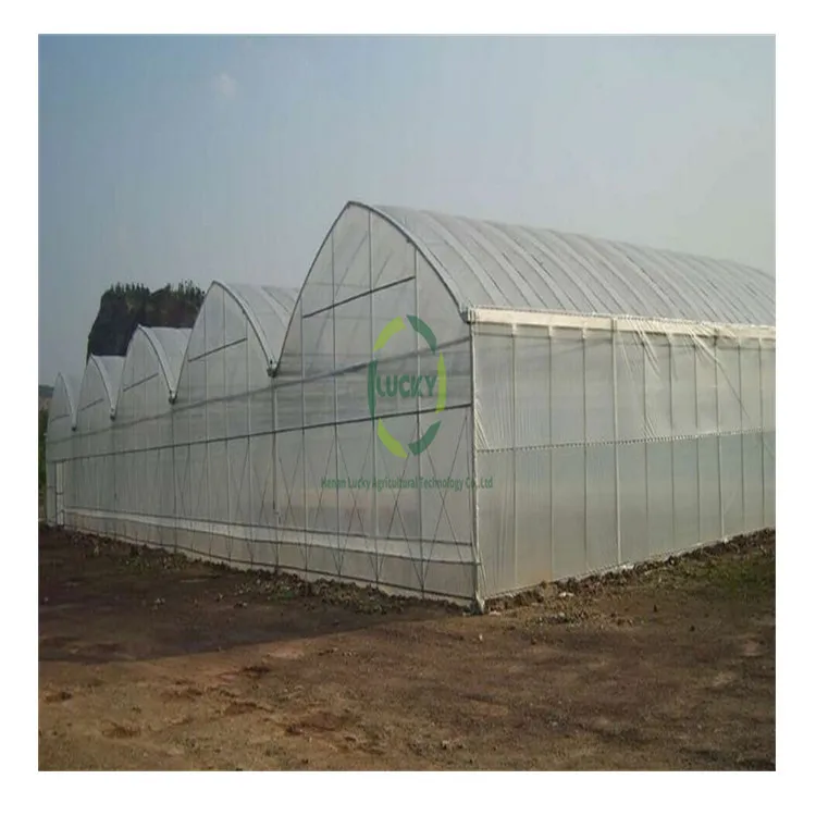 Agricultural Farming Multi-Span Green House Caterpillar Tunnel Chinese Style Culture On Co2 Generator Low Cost Greenhouse