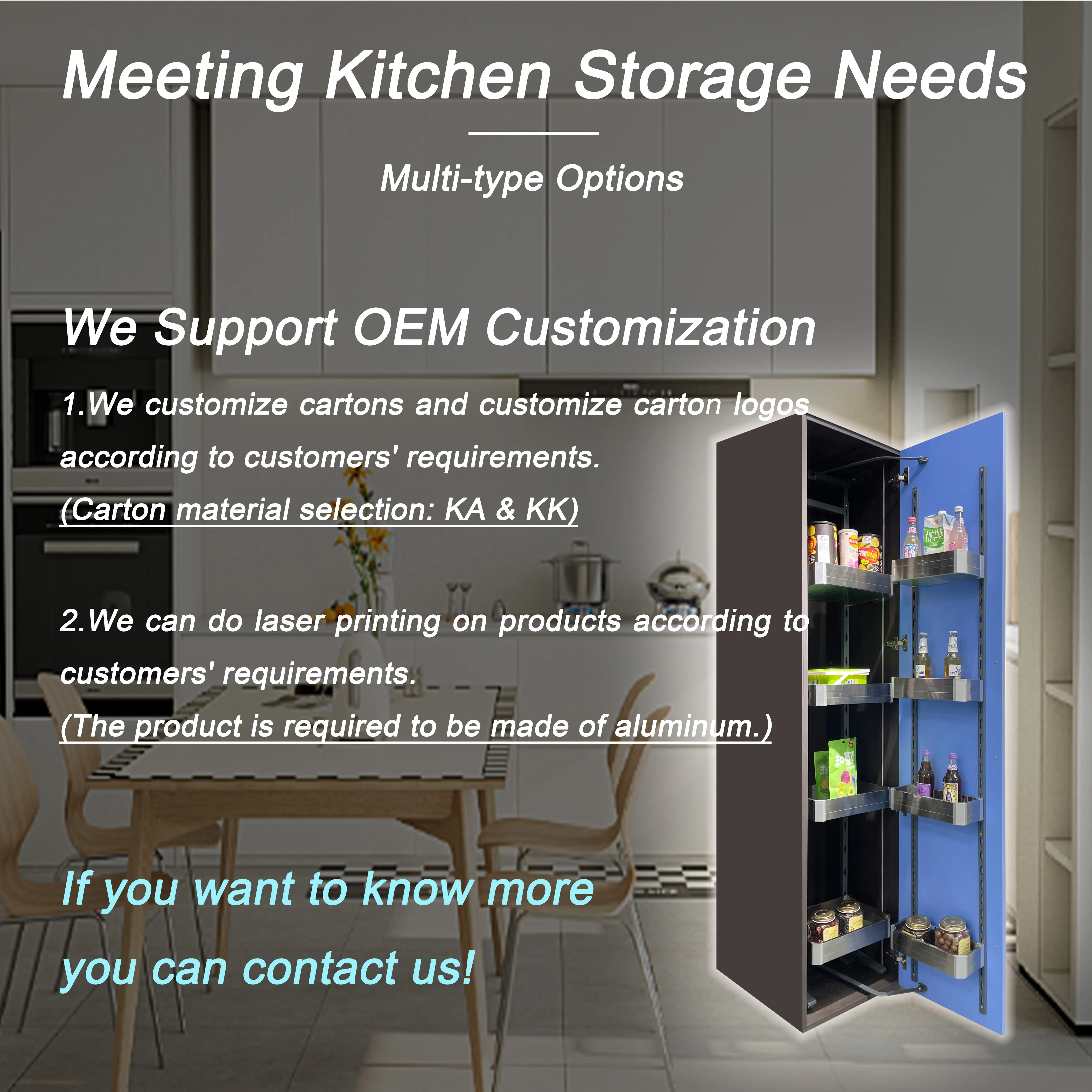 Modern Kitchen Cabinet Hardware and Accessories Organization Ideas Spice Seasoning Storage Holder for Iron 4 rack SS Pantry Unit