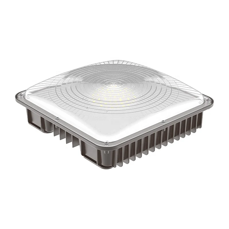 AC100-277V/50-60 Гц 40 Вт 60 Вт 80 Вт 100 Вт 120 Вт ETL светодиодные светильники для масляной станции