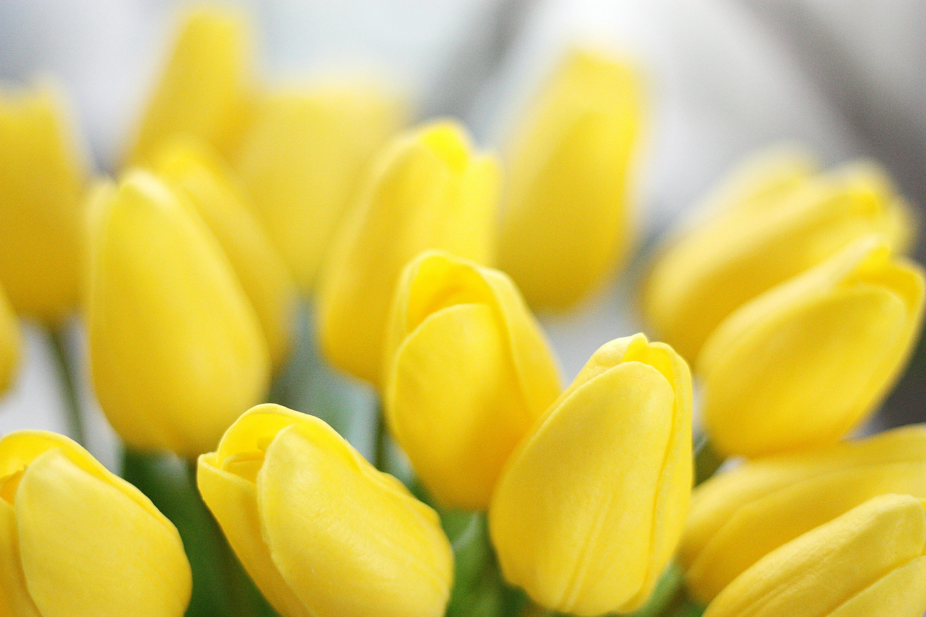 Pink artificial tulips single artificial tulip PU flowers for  Wedding Home Centerpieces Arrangement Decorations