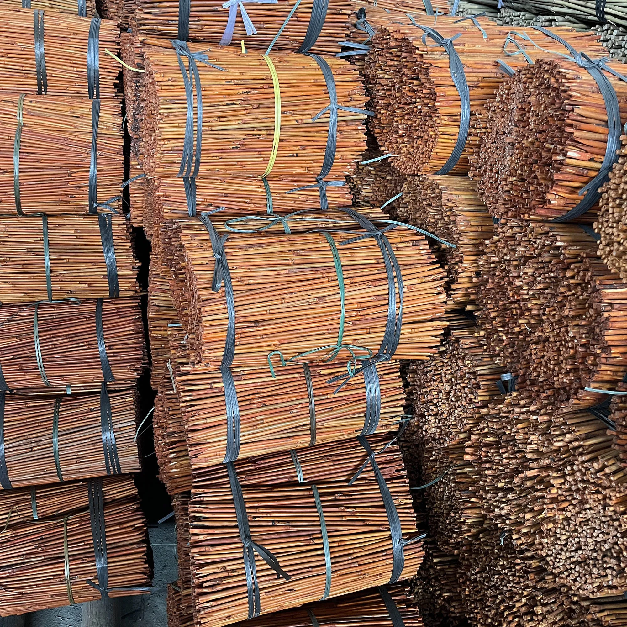 Eco-Friendly Color Dyed Tonkin Bamboo Raw Materials Stakes for Orchid